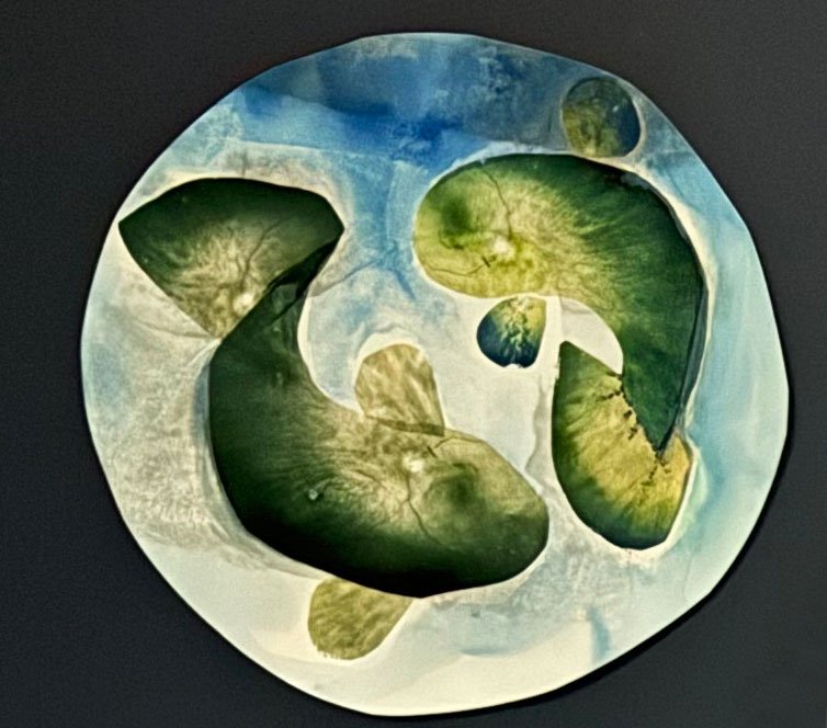 Sidhe Detail - Retina Scans 